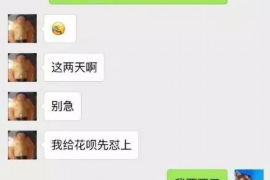 大理大理的要账公司在催收过程中的策略和技巧有哪些？